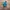 Adidas Vintage Casual Casual shoe Pria blue photo 2