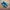 Adidas Vintage Casual Casual shoe Pria blue photo 3