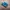 Adidas Vintage Casual Casual shoe Pria blue photo 1