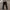 Kappa Sportswear Casual Sweatpants & Joggers Pria navy blue photo 1