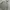 Le Coq Sportif Casual Hoody Pria gray photo 2