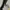 Le Coq Sportif Casual Hoody Pria gray photo 6