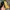 Reebok Streetwear Sportswear Hat Pria black yellow photo 2