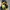 Reebok Streetwear Sportswear Hat Pria black yellow photo 5