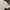 Vintage Streetwear T-shirt Pria white photo 2