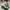 New Balance Casual Casual shoe Pria white green photo 1
