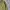 Casual Harrington jacket Pria multicolor photo 3