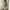 Casual Harrington jacket Pria multicolor photo 2