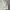 Beverly Hills Polo Club Casual Harrington jacket Pria multicolor photo 2