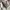 Beverly Hills Polo Club Casual Harrington jacket Pria multicolor photo 5
