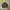 Casual Harrington jacket Pria multicolor photo 1