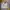 Giordano Casual Harrington jacket Pria multicolor photo 1