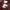 LAINE Casual Casual shirt Pria burgundy photo 6