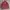 LAINE Casual Casual shirt Pria burgundy photo 1