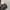 Dickies Casual Hoody Pria gray photo 7