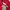 Yonex Sportswear Windbreaker Pria multicolor red photo 3