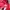 Fila Streetwear Casual Hoody Pria red photo 3