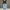 Vintage Streetwear Pria blue photo 5