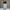 Vintage Streetwear Pria blue photo 1