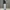 Vintage Streetwear Pria blue photo 3