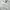 JanSport Vintage Hoody Pria gray photo 3