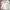 JanSport Vintage Hoody Pria gray photo 2