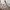 JanSport Vintage Hoody Pria gray photo 5