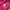 Nike Sportswear Hoody Wanita pink photo 7