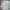 Lacoste Luxury Formal shirt Pria multicolor photo 2