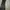Cosplay Bodycon dress Wanita black photo 1