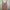 H&M Avant Garde Jumpsuit Wanita multicolor photo 1