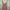 H&M Avant Garde Jumpsuit Wanita Multicolor