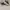 Alexander McQueen Casual Sneakers Wanita white black photo 1