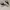 Alexander McQueen Casual Sneakers Wanita White Black