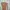 Avant Garde Trench coat Wanita brown photo 1