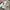 Bally Streetwear Luxury Sneakers Pria white photo 2