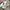 Bally Streetwear Luxury Sneakers Pria White