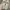 Bally Streetwear Luxury Sneakers Pria white photo 5