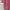 Luxury Muslim Shirt Wanita white red photo 3