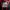 Nike Sportswear Track jacket Pria red black photo 2