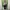 WHO.A.U Streetwear Y2K Casual shirt Pria green photo 2