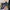 Salomon Streetwear Sportswear Pria black gray photo 3