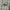 Kolon Sport Streetwear Y2K Casual shirt Pria yellow photo 6