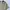 Kolon Sport Streetwear Y2K Casual shirt Pria yellow photo 3