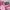 Onitsuka Tiger Casual Sneakers Wanita pink photo 2