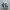 VANS Casual Sneakers Pria white black photo 1