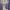Columbia Gorpcore Windbreaker Pria white blue photo 4