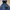 Nike Gorpcore Windbreaker Pria navy photo 6