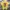 Japanese brand Casual T-shirt Pria yellow photo 1