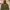 Columbia Gorpcore Windbreaker Pria Brown